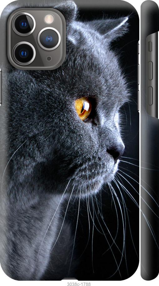 

Чохол на iPhone 12 Гарний кіт