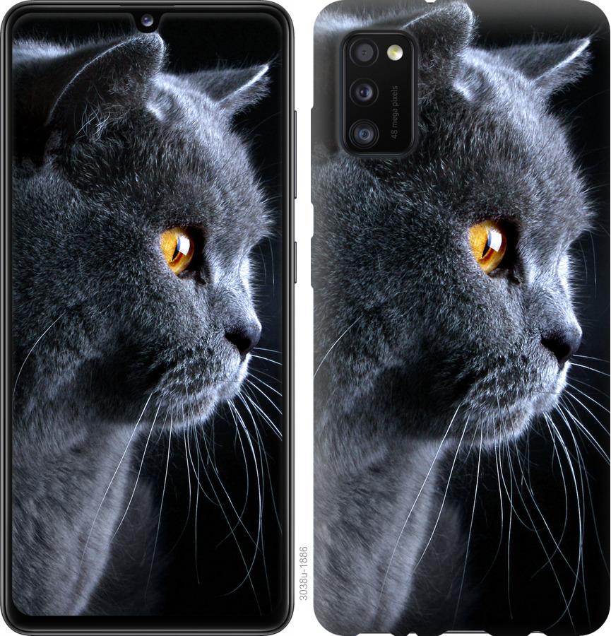 

Чохол на Samsung Galaxy A41 A415F Гарний кіт
