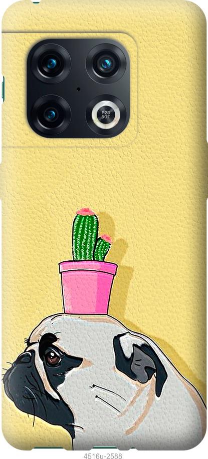 

Чохол на OnePlus 10 Pro Мопс з кактусом