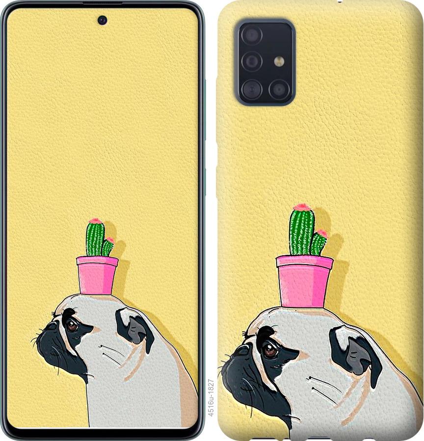 

Чохол на Samsung Galaxy S20 Мопс з кактусом