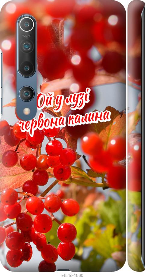 

Чехол на Xiaomi Mi 10 Pro Калина