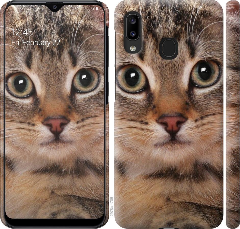 

Чехол на Samsung Galaxy A20e A202F Полосатый котик