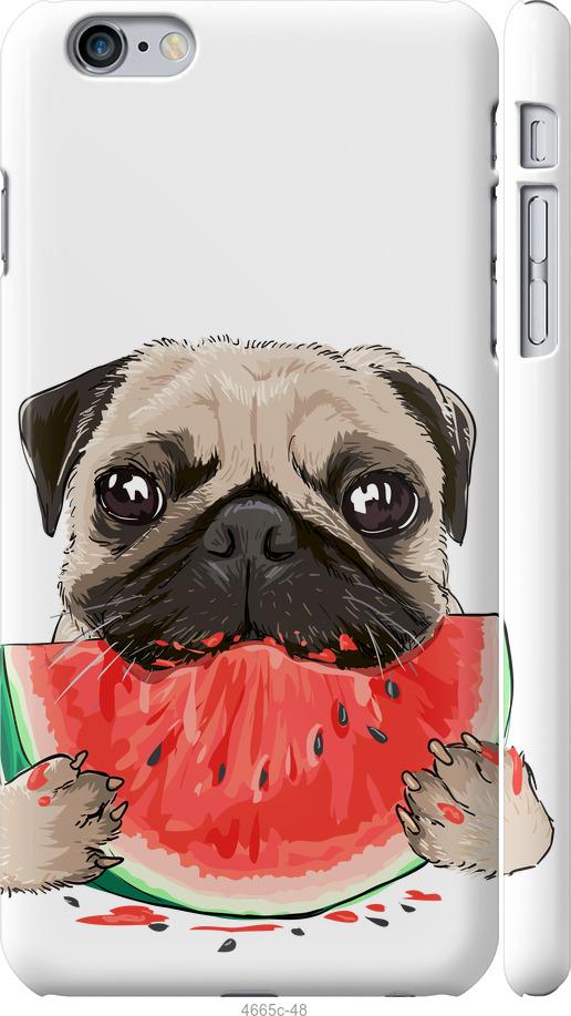 

Чехол на iPhone 6s Plus Мопс и арбуз