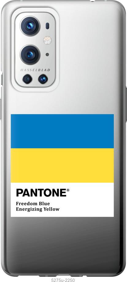 

Чохол на OnePlus 9 Pro Прапор Пантон