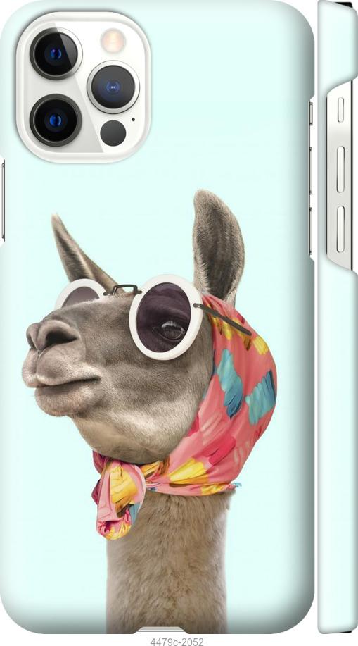 Чехол на iPhone 12 Модная лама
