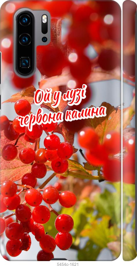 

Чехол на Huawei P30 Pro Калина