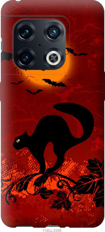 

Чехол на OnePlus 10 Pro Чёрная кошка под луной