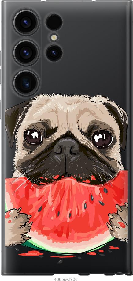 

Чехол на Samsung Galaxy S23 Ultra Мопс и арбуз