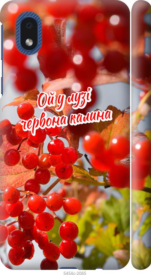 

Чехол на Samsung Galaxy A01 Core A013F Калина
