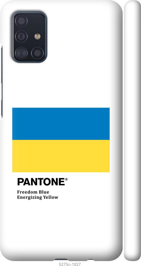 Чехол на Samsung Galaxy A51 2020 A515F Прапор Пантон