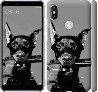 

Чохол на Xiaomi Redmi S2 Доберман