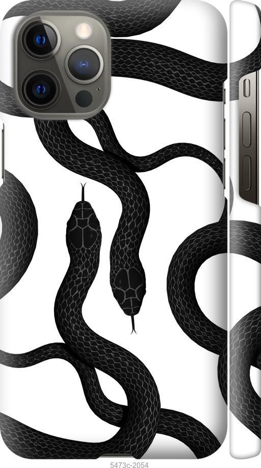 

Чехол на iPhone 12 Pro Max Змеи