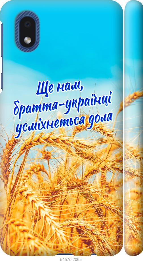 

Чохол на Samsung Galaxy A01 Core A013F Україна v7