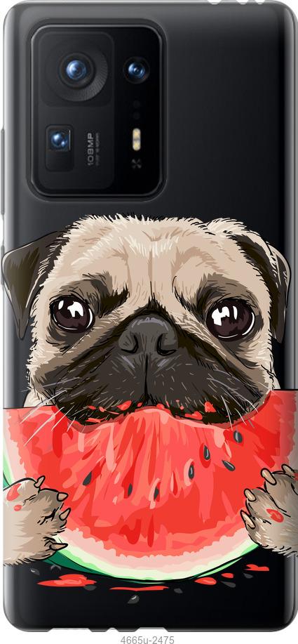 

Чехол на Xiaomi Mix 4 Мопс и арбуз