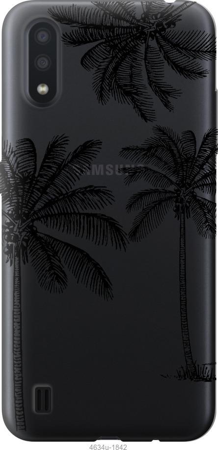 

Чохол на ZTE Blade A5 2020 Пальми1