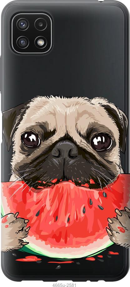 

Чехол на Samsung Galaxy A22 5G A226B Мопс и арбуз