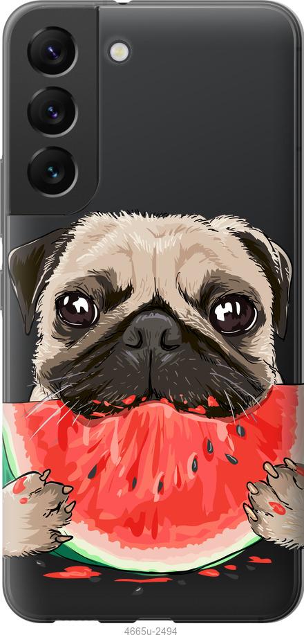 

Чехол на Samsung Galaxy S22 Мопс и арбуз