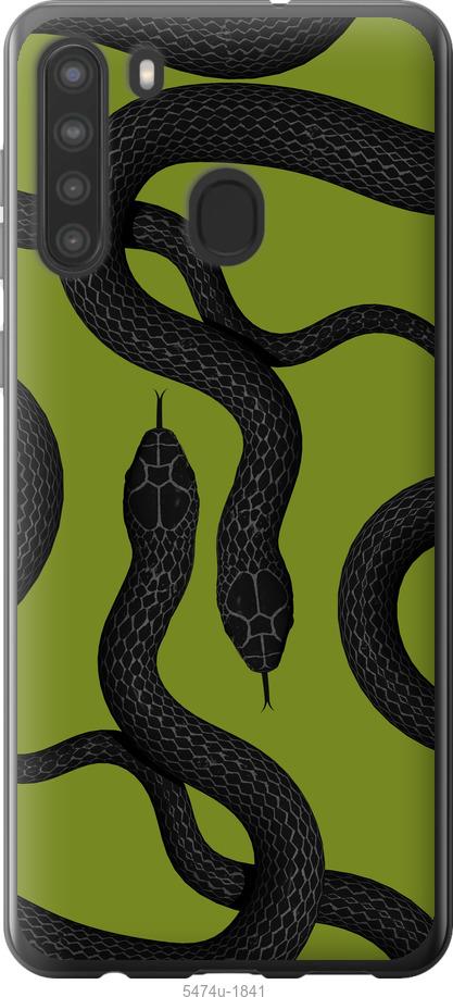 

Чехол на Samsung Galaxy A21 Змеи v2