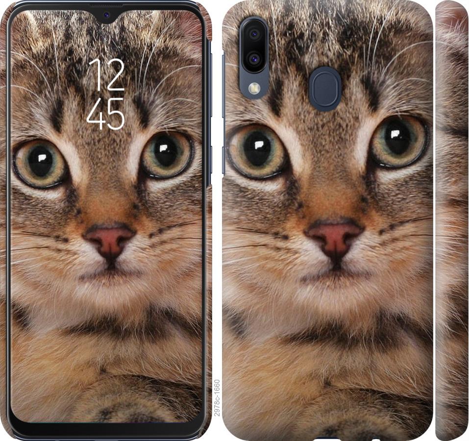 

Чехол на Samsung Galaxy M20 Полосатый котик