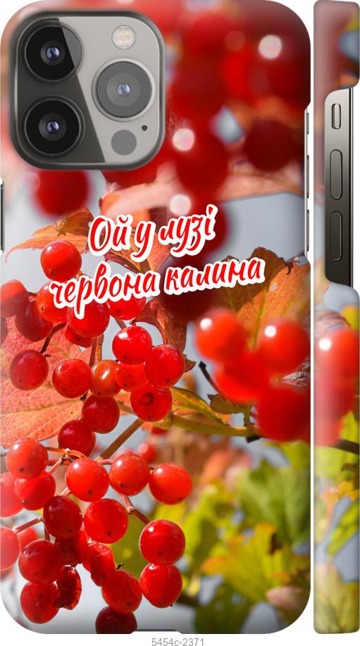 

Чехол на iPhone 13 Pro Max Калина