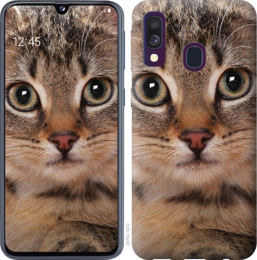 

Чехол на Samsung Galaxy A40 2019 A405F Полосатый котик