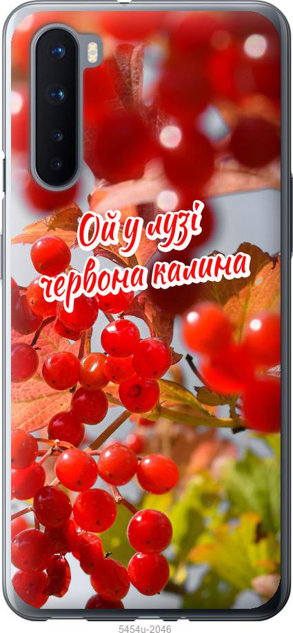 

Чехол на OnePlus Nord Калина