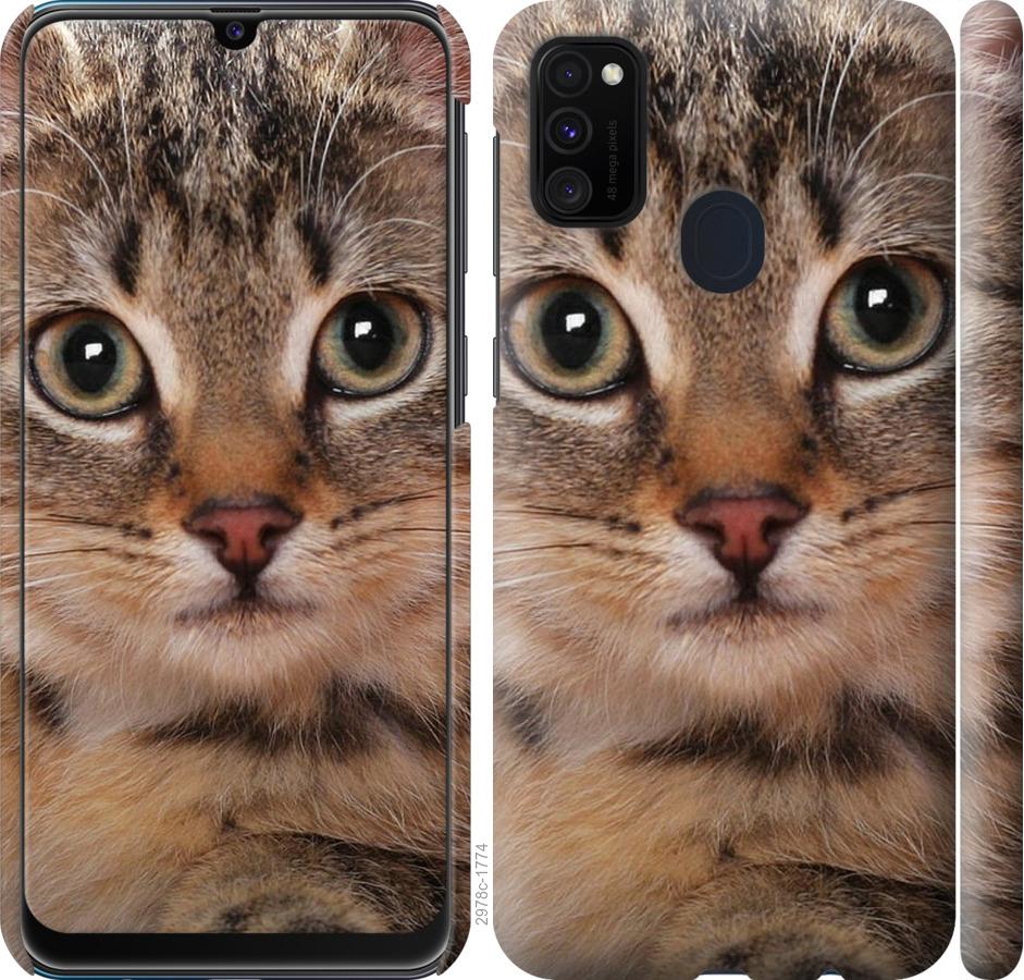 

Чехол на Samsung Galaxy M30s 2019 Полосатый котик