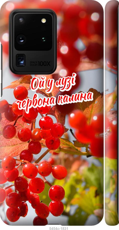 

Чехол на Samsung Galaxy S20 Ultra Калина