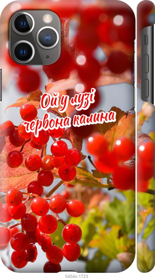 

Чехол на iPhone 11 Pro Max Калина