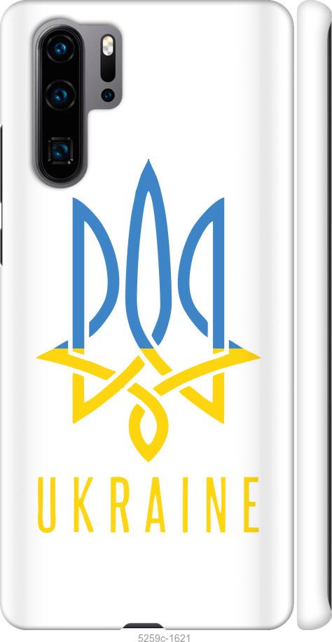 

Чехол на Huawei P30 Pro Герб v2