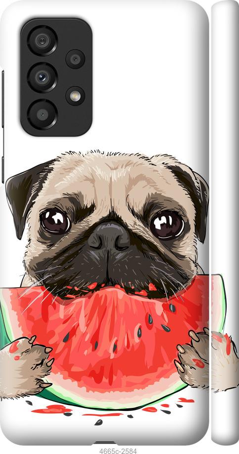 

Чехол на Samsung Galaxy A33 5G A336B Мопс и арбуз