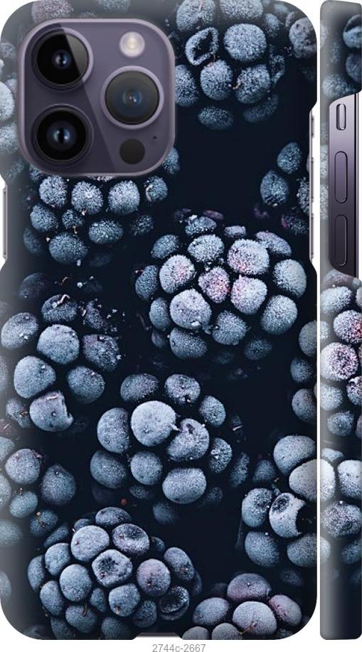 

Чохол на iPhone 14 Pro Max морозна ожина