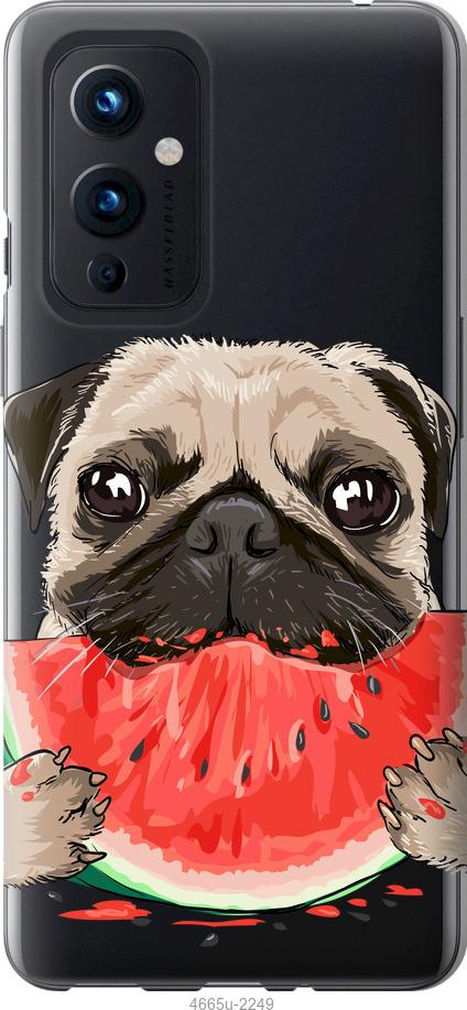 

Чехол на OnePlus 9 Мопс и арбуз
