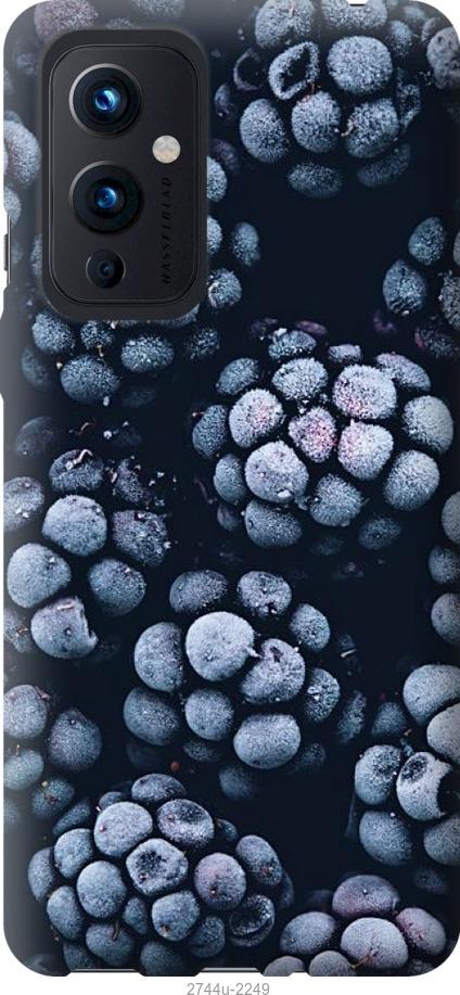

Чохол на OnePlus 9 морозна ожина