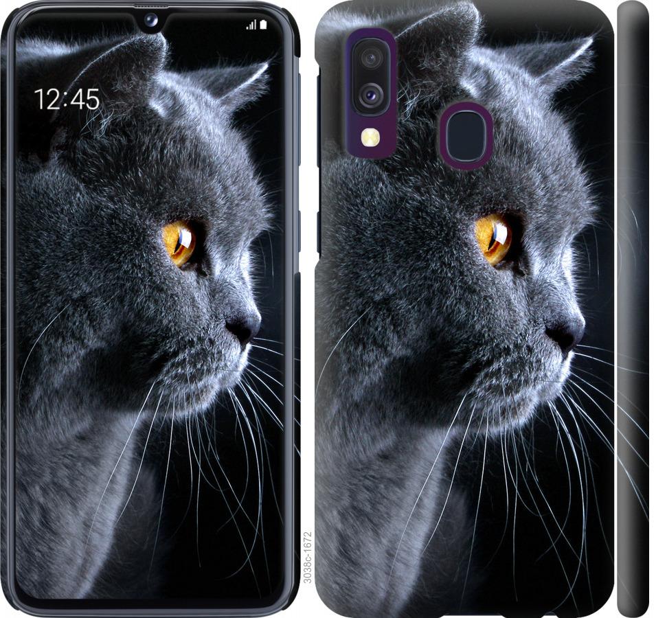 

Чохол на Samsung Galaxy M30s 2019 Гарний кіт