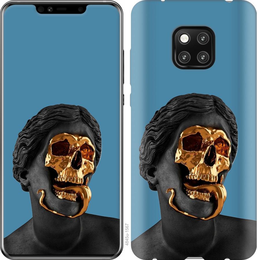 

Чехол на Huawei Mate 20 Pro Sculptures