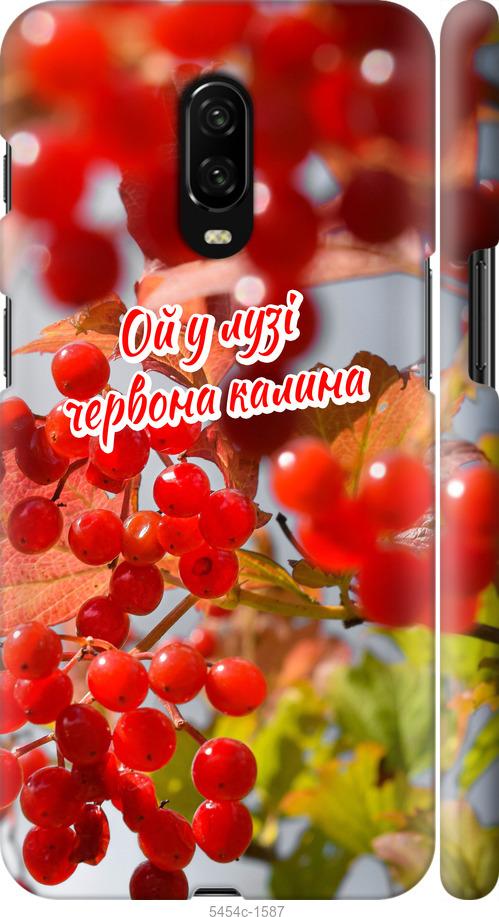 

Чехол на OnePlus 6T Калина