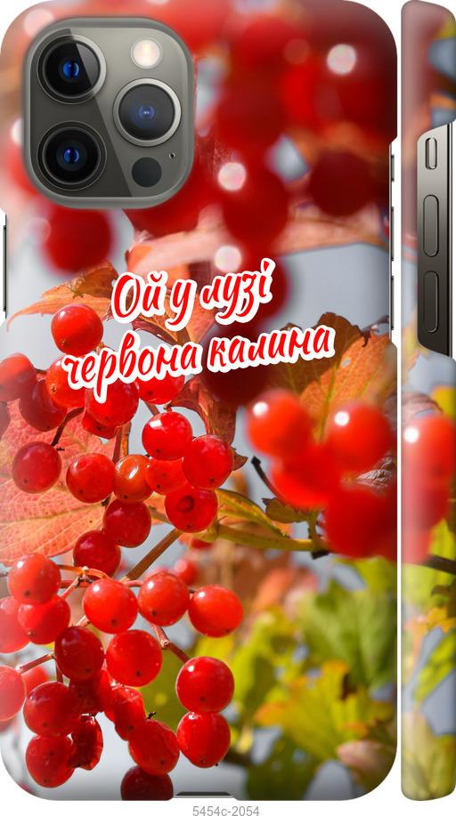 Чехол на iPhone 12 Pro Max Калина
