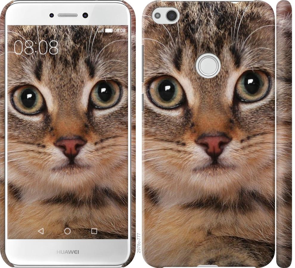 

Чехол на Huawei P8 Lite (2017) Полосатый котик