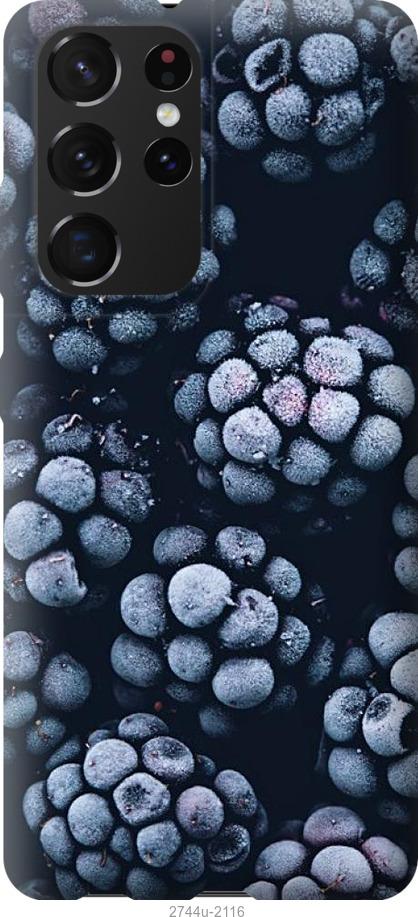 Чохол на Samsung Galaxy S21 Ultra морозна ожина