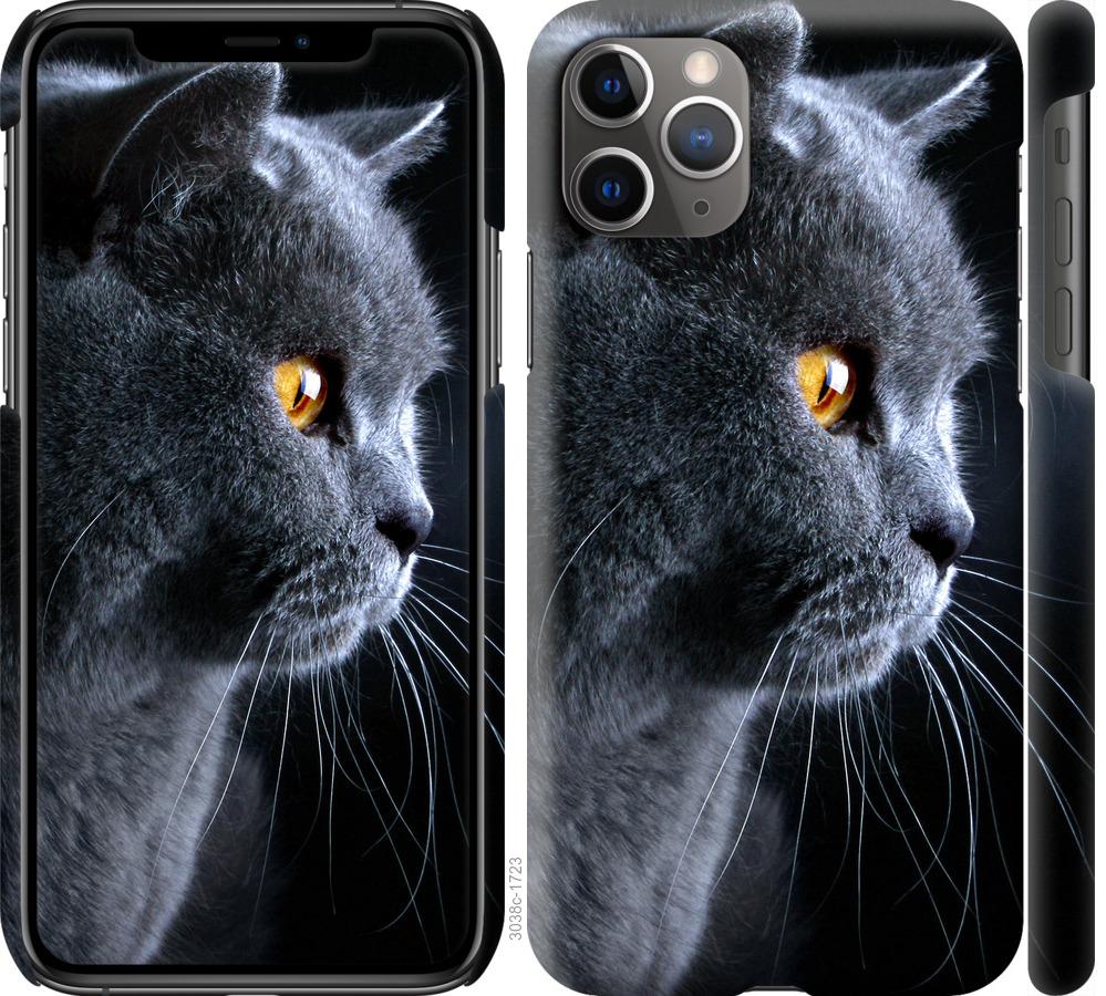 

Чохол на iPhone 11 Pro Max Гарний кіт