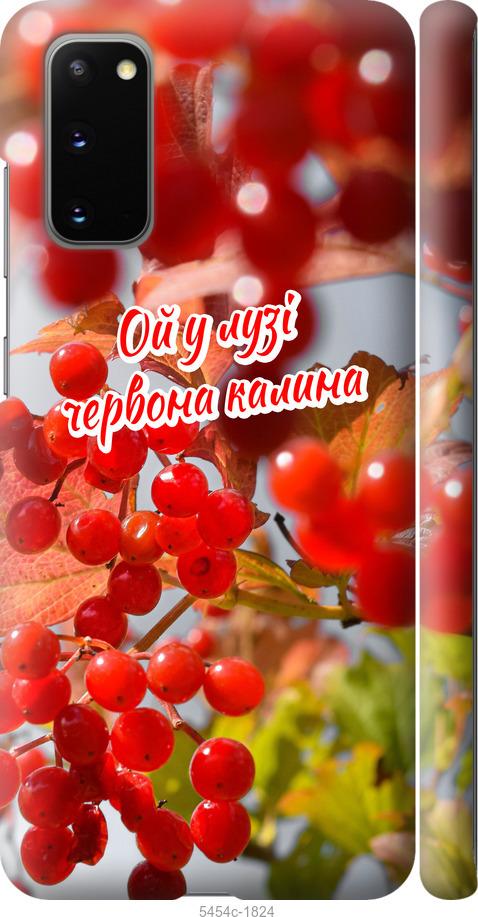 

Чехол на Samsung Galaxy S20 Калина
