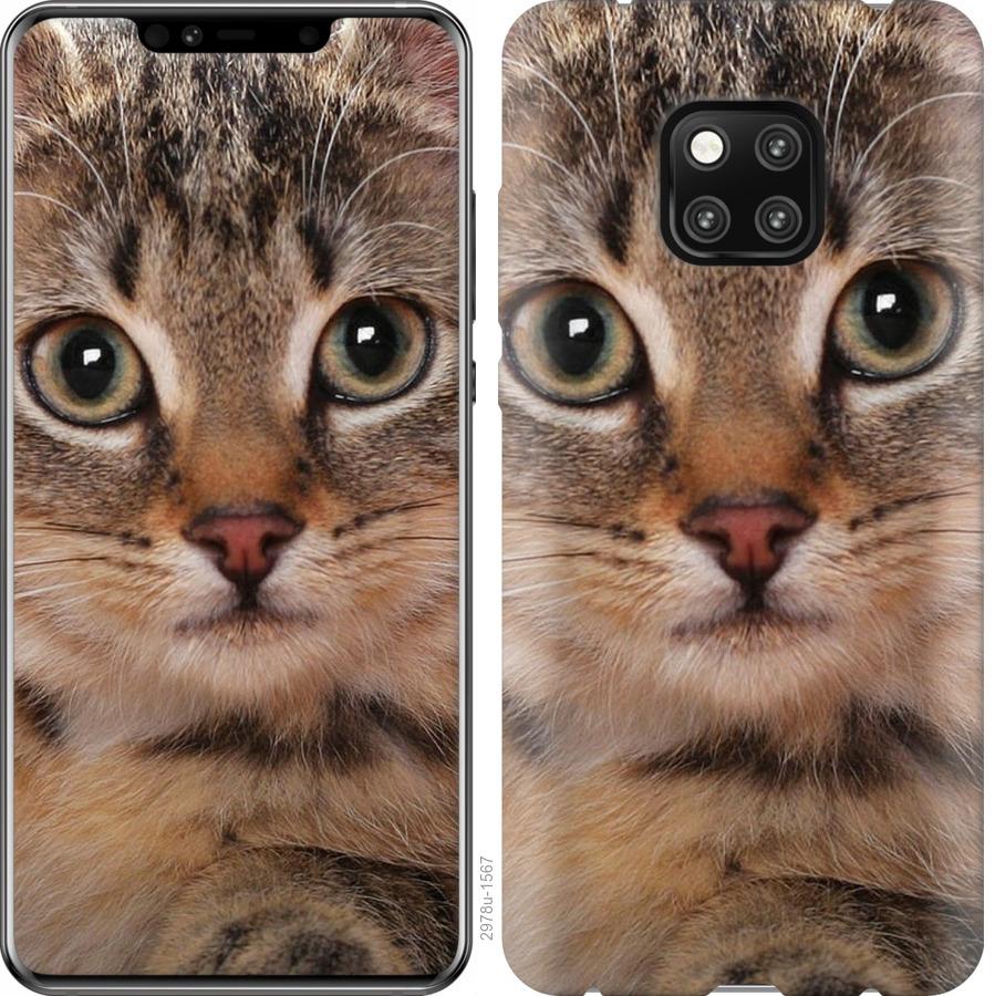 

Чехол на Huawei Mate 20 Pro Полосатый котик