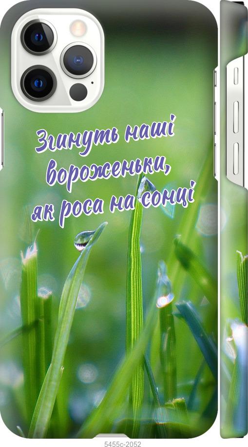 

Чехол на iPhone 12 Pro Украина v5