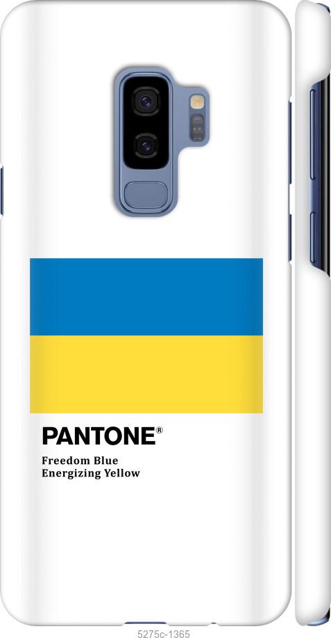 Чохол на Samsung Galaxy S9 Plus Прапор Пантон
