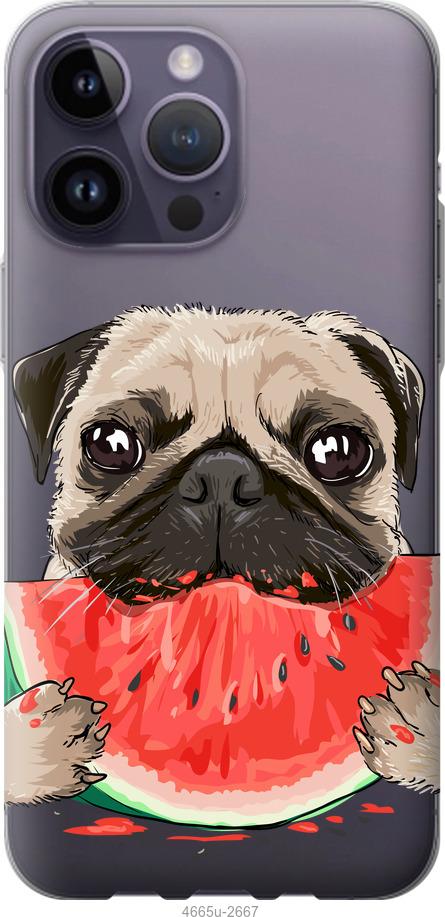 

Чехол на iPhone 14 Pro Max Мопс и арбуз