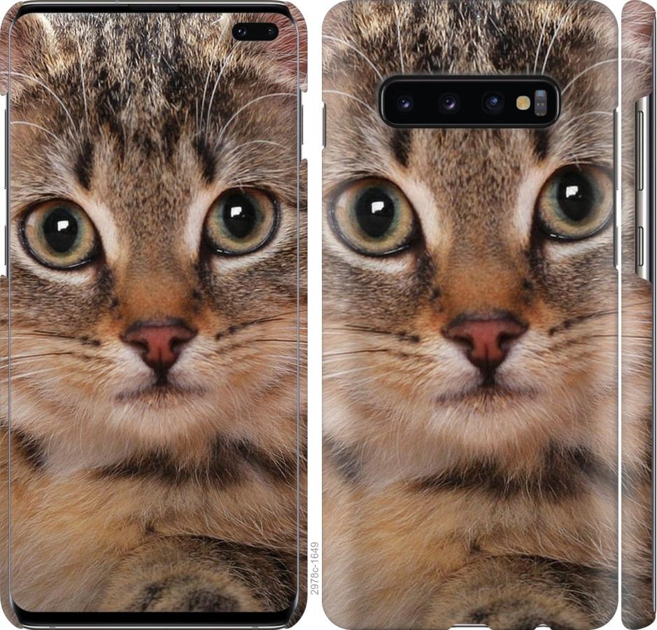 

Чехол на Samsung Galaxy S10 Plus Полосатый котик