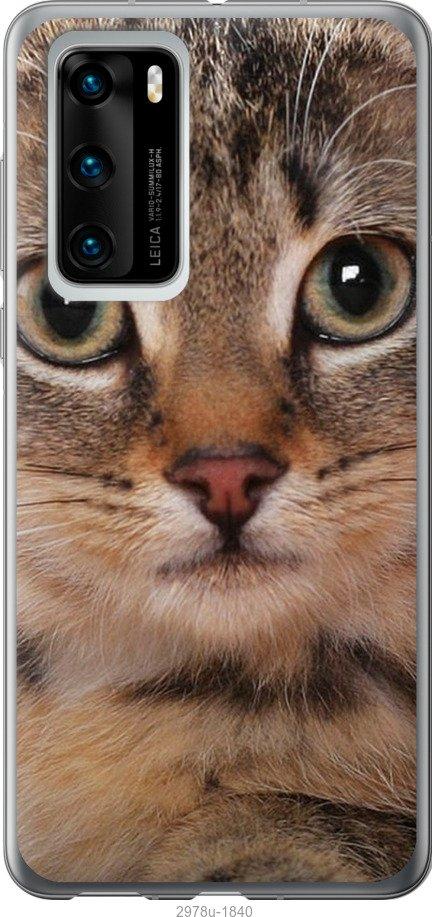 

Чехол на Samsung Galaxy S9 White and black 1