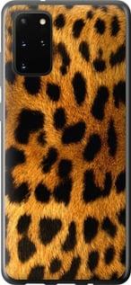 Чехол на Samsung Galaxy S20 Plus Шкура леопарда