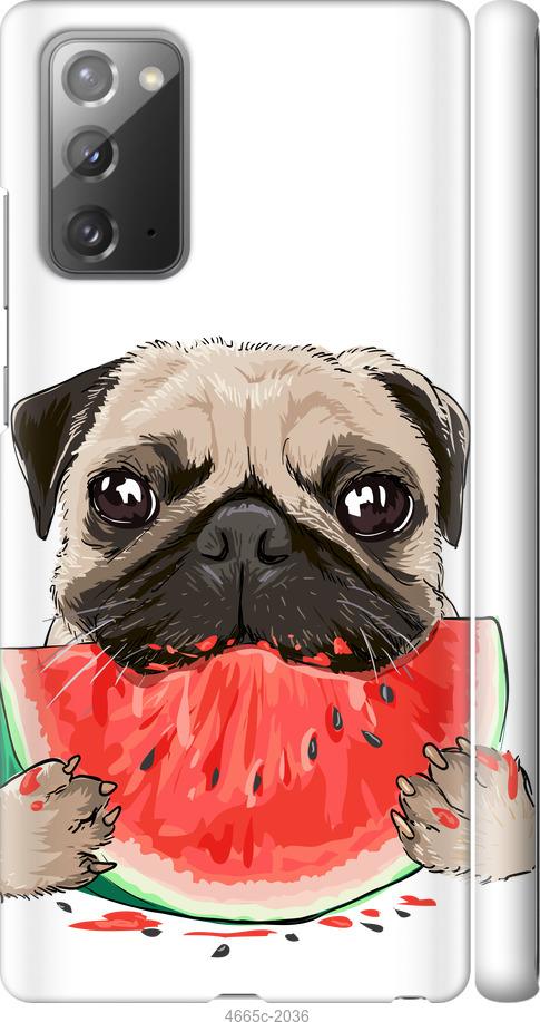 

Чехол на Samsung Galaxy Note 20 Мопс и арбуз